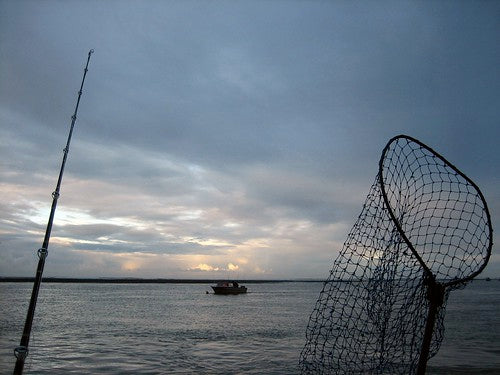 Port Waikato Bay Fising Charter
